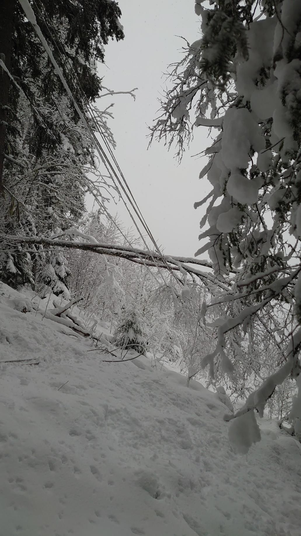 featured image for Strømbrudd