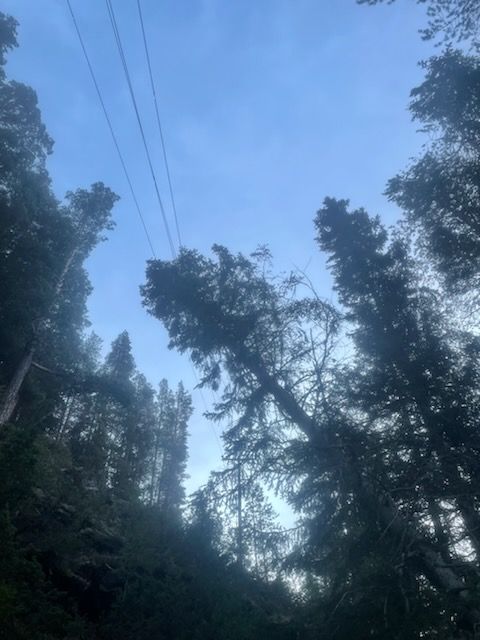 featured image for Strømbrudd